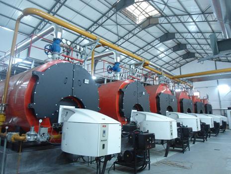 Steam Generation Systems