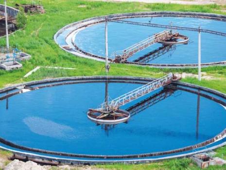 Purification Chemicals