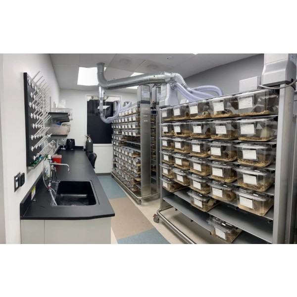 OPTIGARD ® WS 707-QC