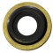 OPTICOR ®  RLS 1250-BR